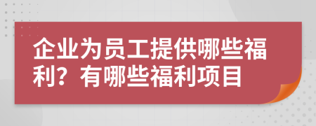 企业为员工提供哪些福利？有哪些福利项目