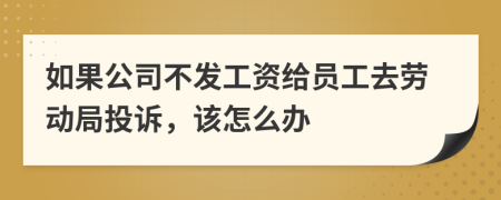 如果公司不发工资给员工去劳动局投诉，该怎么办
