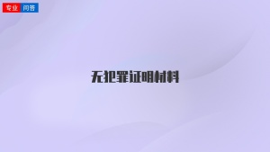 无犯罪证明材料