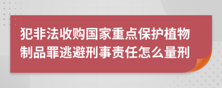 犯非法收购国家重点保护植物制品罪逃避刑事责任怎么量刑