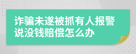 诈骗未遂被抓有人报警说没钱赔偿怎么办