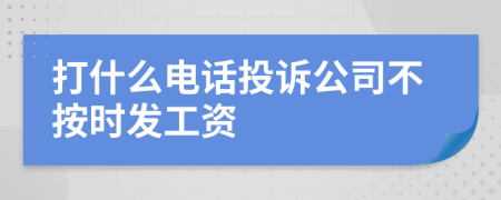 打什么电话投诉公司不按时发工资