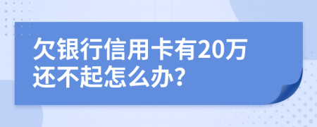 欠银行信用卡有20万还不起怎么办？