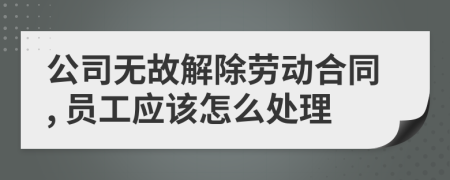 公司无故解除劳动合同, 员工应该怎么处理