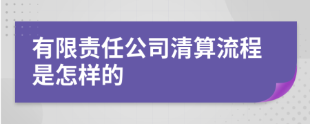 有限责任公司清算流程是怎样的