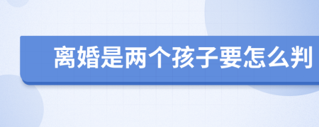 离婚是两个孩子要怎么判