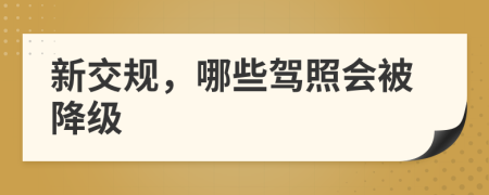 新交规，哪些驾照会被降级