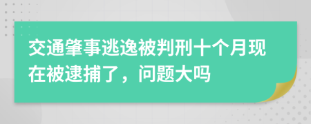 交通肇事逃逸被判刑十个月现在被逮捕了，问题大吗