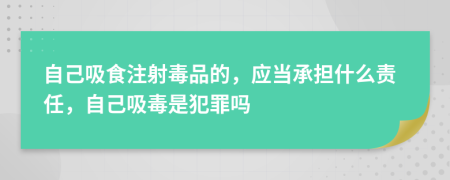 自己吸食注射毒品的，应当承担什么责任，自己吸毒是犯罪吗