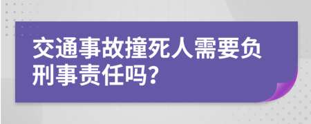 交通事故撞死人需要负刑事责任吗？