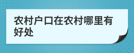 农村户口在农村哪里有好处