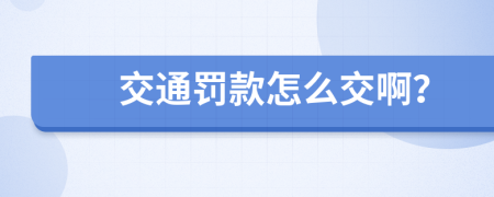 交通罚款怎么交啊？