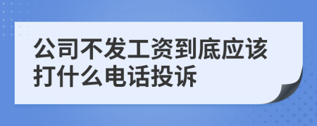 公司不发工资到底应该打什么电话投诉