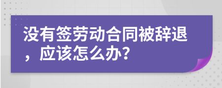 没有签劳动合同被辞退，应该怎么办？