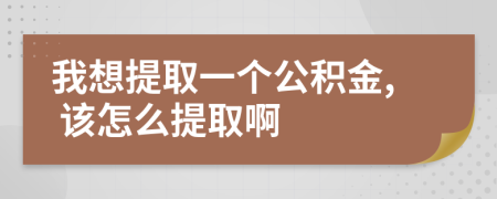 我想提取一个公积金, 该怎么提取啊