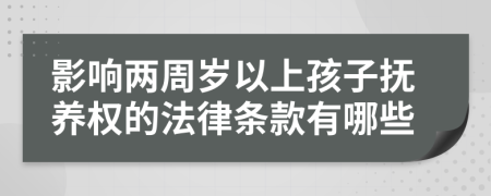 影响两周岁以上孩子抚养权的法律条款有哪些