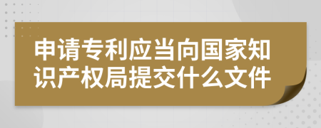 申请专利应当向国家知识产权局提交什么文件