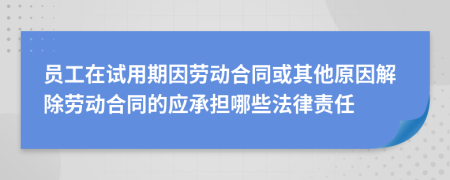 员工在试用期因劳动合同或其他原因解除劳动合同的应承担哪些法律责任