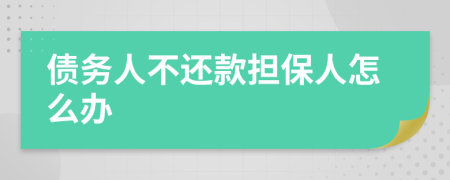 债务人不还款担保人怎么办