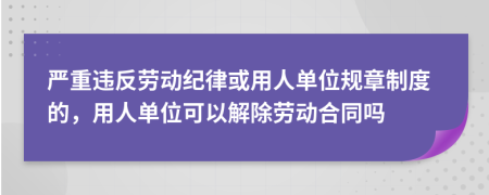 严重违反劳动纪律或用人单位规章制度的，用人单位可以解除劳动合同吗