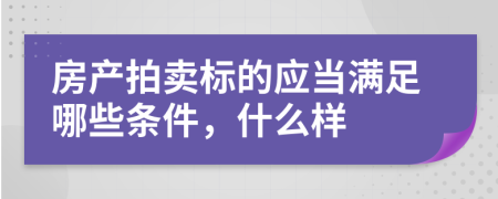 房产拍卖标的应当满足哪些条件，什么样