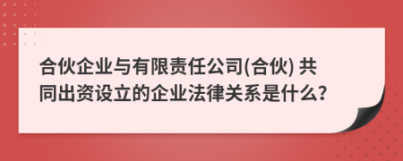 合伙企业与有限责任公司(合伙) 共同出资设立的企业法律关系是什么？