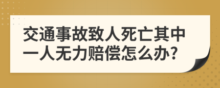 交通事故致人死亡其中一人无力赔偿怎么办?