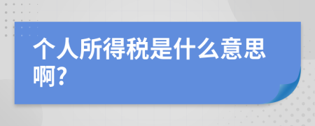 个人所得税是什么意思啊?