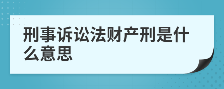 刑事诉讼法财产刑是什么意思