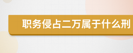 职务侵占二万属于什么刑