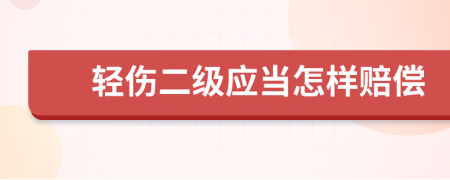 轻伤二级应当怎样赔偿