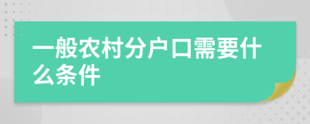 一般农村分户口需要什么条件