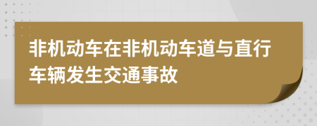 非机动车在非机动车道与直行车辆发生交通事故