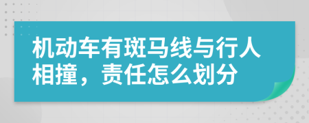 机动车有斑马线与行人相撞，责任怎么划分