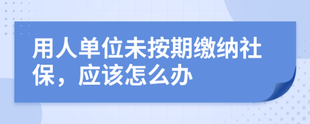 用人单位未按期缴纳社保，应该怎么办