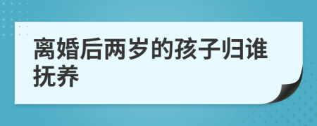 离婚后两岁的孩子归谁抚养