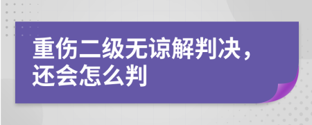 重伤二级无谅解判决，还会怎么判