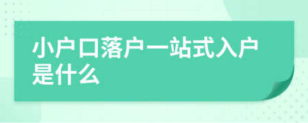 小户口落户一站式入户是什么