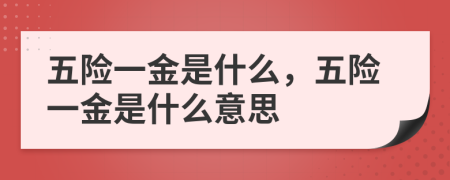 五险一金是什么，五险一金是什么意思