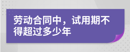 劳动合同中，试用期不得超过多少年