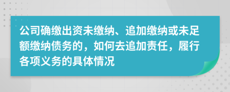 公司确缴出资未缴纳、追加缴纳或未足额缴纳债务的，如何去追加责任，履行各项义务的具体情况