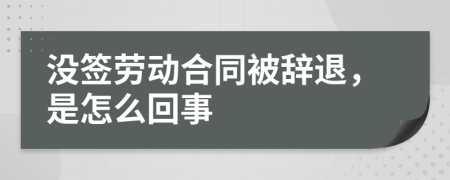 没签劳动合同被辞退，是怎么回事