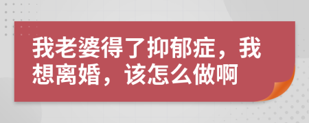 我老婆得了抑郁症，我想离婚，该怎么做啊