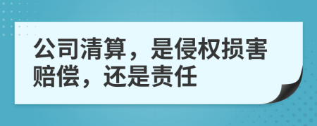 公司清算，是侵权损害赔偿，还是责任