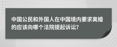 中国公民和外国人在中国境内要求离婚的应该向哪个法院提起诉讼？