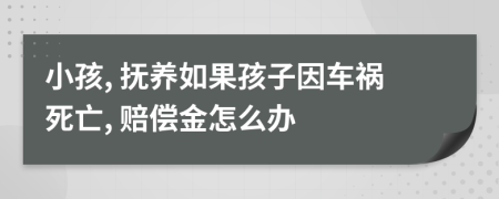 小孩, 抚养如果孩子因车祸死亡, 赔偿金怎么办