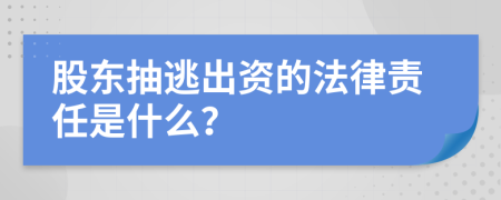 股东抽逃出资的法律责任是什么？