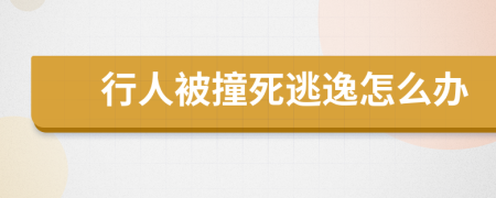 行人被撞死逃逸怎么办