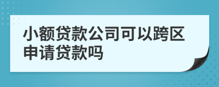 小额贷款公司可以跨区申请贷款吗