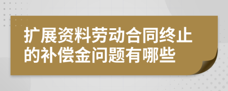 扩展资料劳动合同终止的补偿金问题有哪些